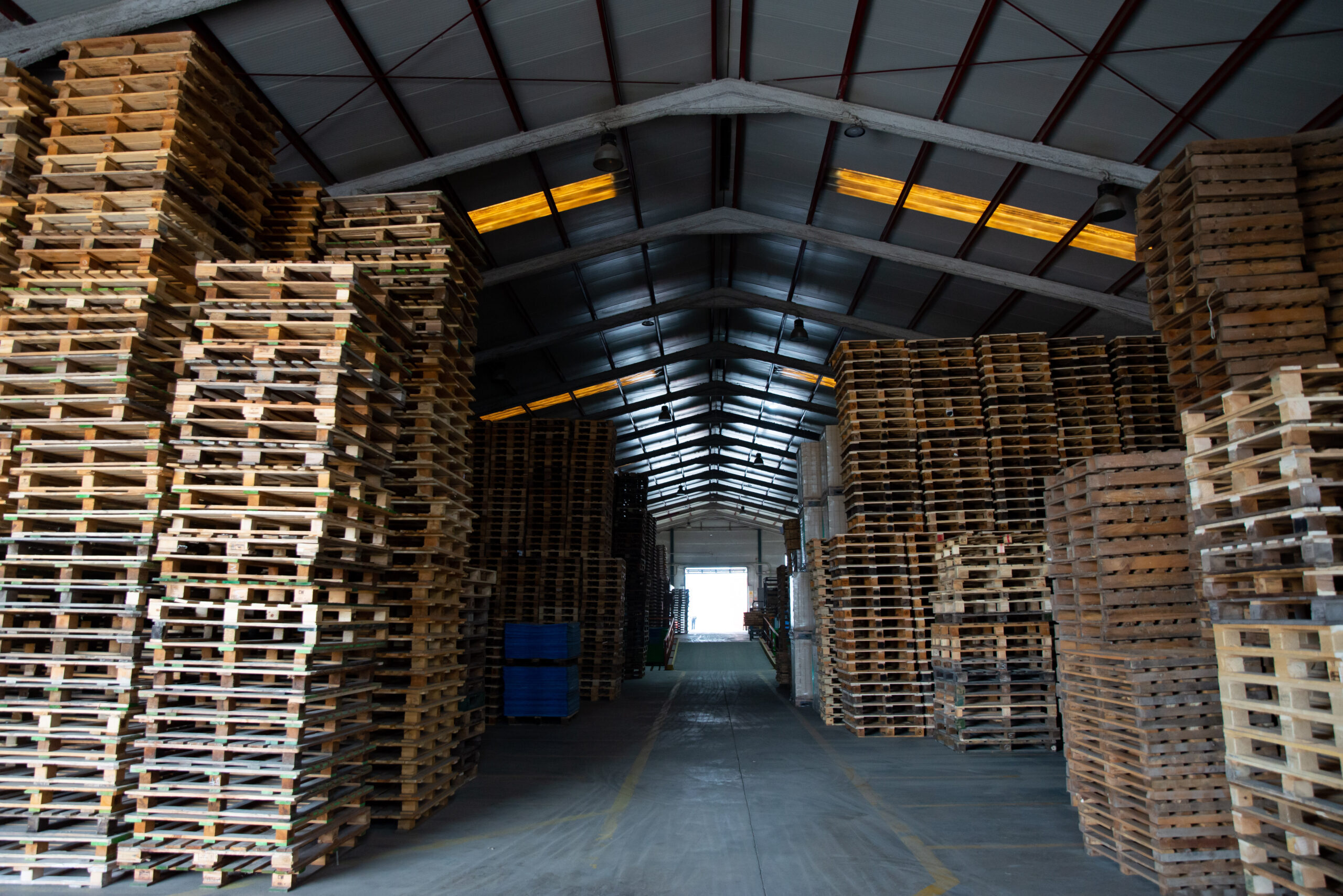 IMAGEN EMPRESA – Alcopalet – 22 marzo – 208