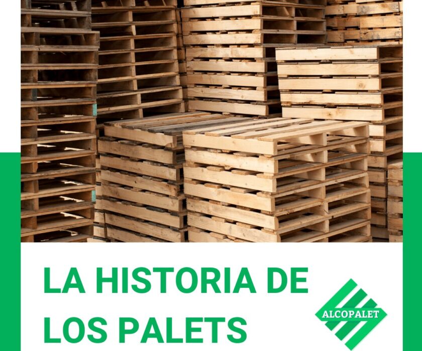 historia de los palets